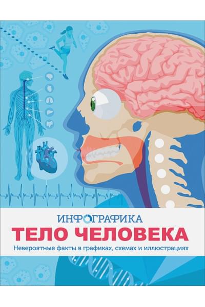 Тело человека. Инфографика