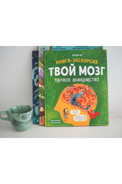 Бетина Ип: Твой мозг. Книга-экскурсия. Первое знакомство