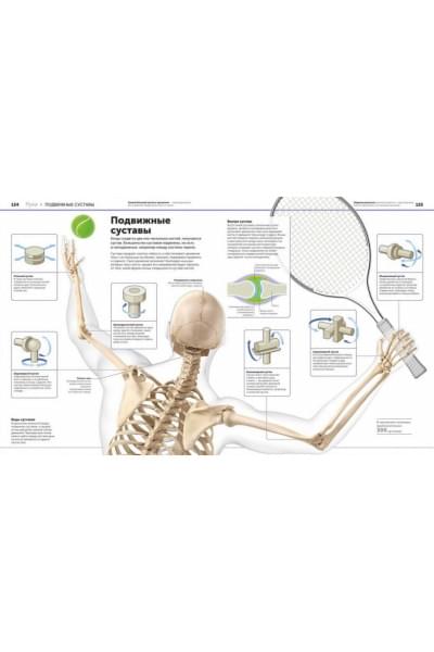 Dorling Kindersley (DK), Smithsonian Institution: Анатомия человека. Самая полная современная энциклопедия