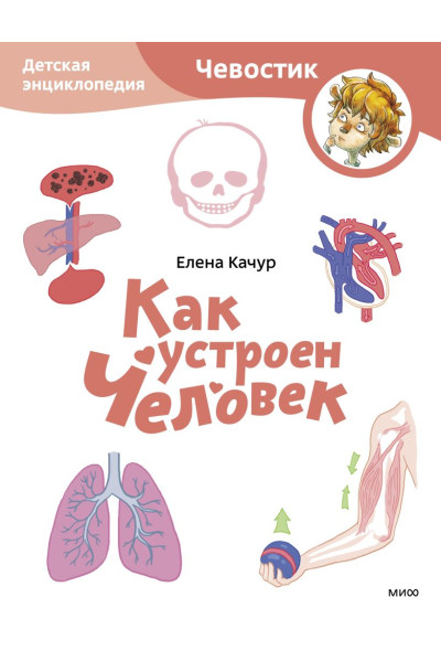 Качур Елена Александровна: Как устроен человек. Детская энциклопедия (Чевостик) (Paperback)