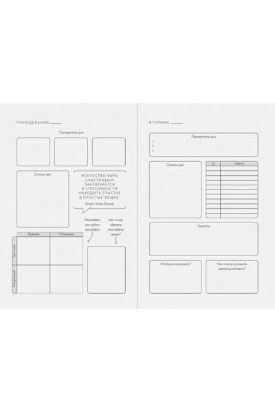 Visual planner: Цели. Мечты. Достижения. Ежедневник (ежевика) (288 стр)