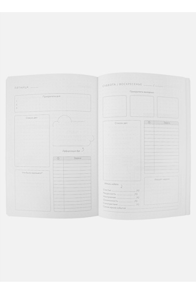 Visual planner: Цели. Мечты. Достижения. Ежедневник (ежевика) (288 стр)