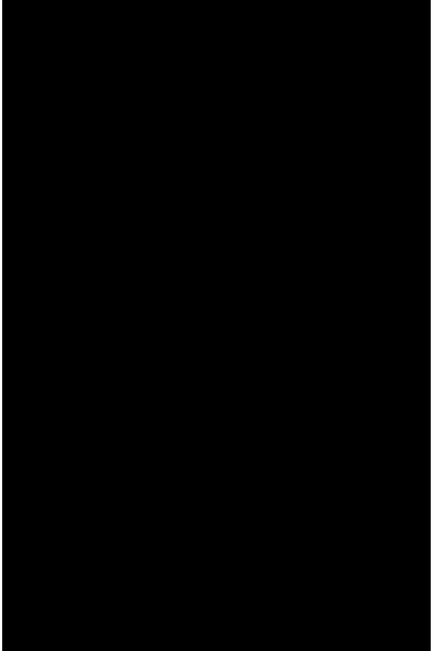 Блокнот. Гарри Поттер. Экспекто патронум! (А5, 192 стр, цветной блок, обложка из черной кожи с серебрянным тиснением)
