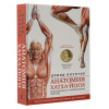 Коултер Дэвид: Анатомия хатха-йоги. Дополненное и обновленное издание