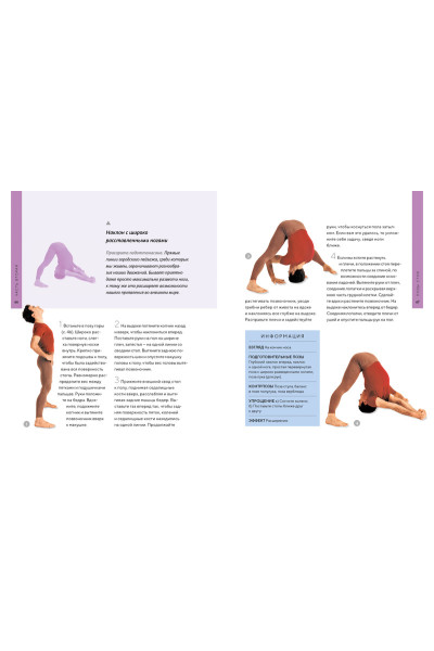 Библия йоги. Полное руководство для улучшения самочувствия, поддержания физической формы, гармонии души и тела
