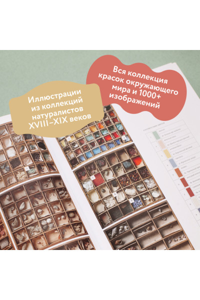 Бейти Патрик, Дэвидсон Питер, Чарвот Элейн: Цвет в природе. Коллекция красок окружающего мира