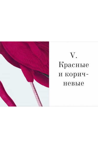 Бейти Патрик, Дэвидсон Питер, Чарвот Элейн: Цвет в природе. Коллекция красок окружающего мира