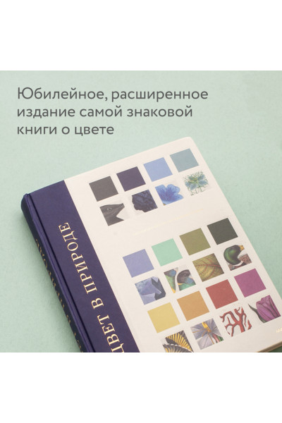 Бейти Патрик, Дэвидсон Питер, Чарвот Элейн: Цвет в природе. Коллекция красок окружающего мира