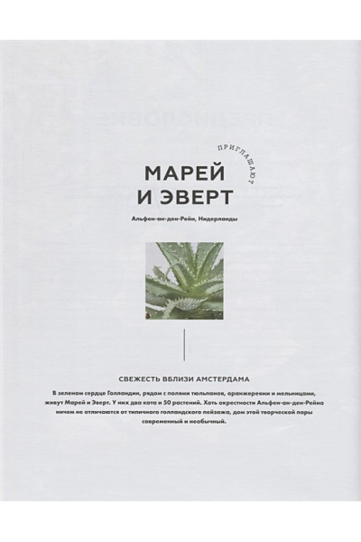 Urban Jungle. Как создать уютный интерьер с помощью растений
