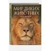 Осокин Алексей Владимирович: Мир диких животных без мифов. Невероятные фото-истории о жизни хищников саванны