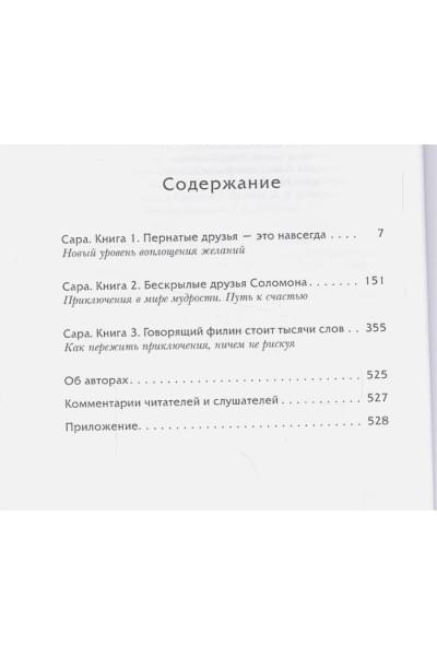 Хикс Э., Хикс Дж.: Сара. Путешествие ребенка в мир безграничной радости