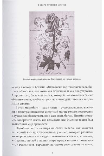 Древняя магия. От драконов и оборотней до зелий и защиты от темных сил