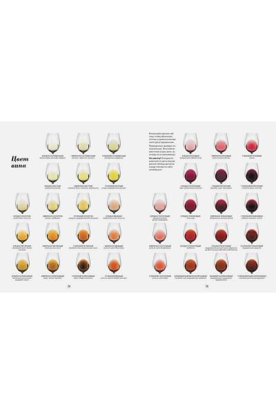 Wine Folly. Издание Магнум, детализированное