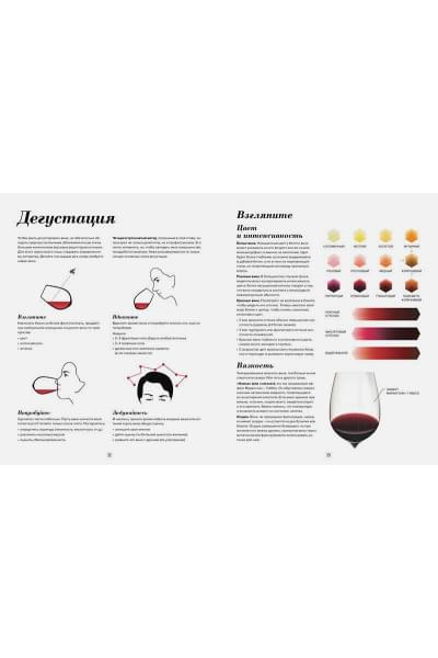 Wine Folly. Издание Магнум, детализированное