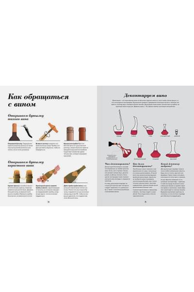 Wine Folly. Издание Магнум, детализированное