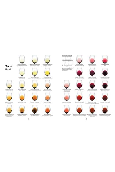 Wine Folly. Издание Магнум, детализированное