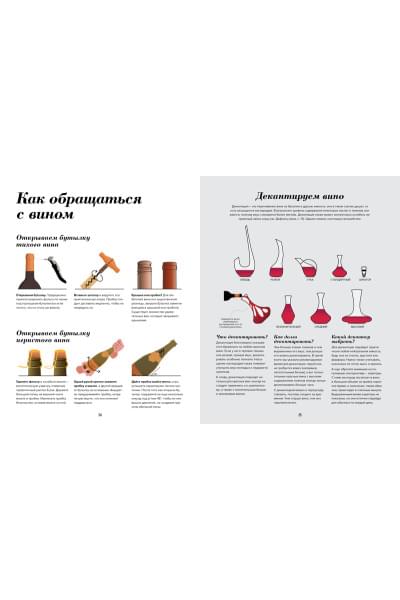 Wine Folly. Издание Магнум, детализированное