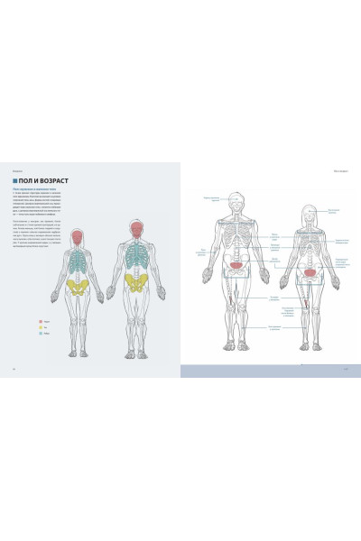 Publishing 3dtotal: Фигура человека для художника. Большая книга анатомии, референсов и художественных поз