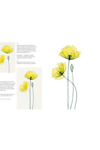 Ирина Толчина: Прозрачные цветы акварелью. Рисуем в технике 
