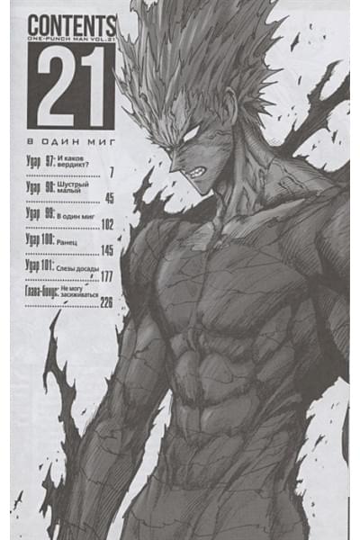 One: One-Punch Man. Кн. 11