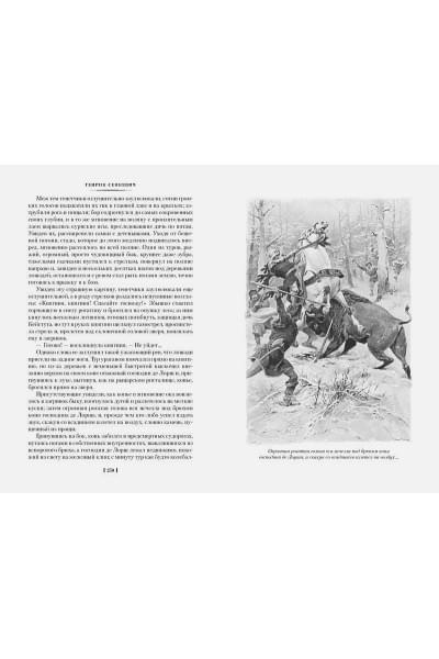 Сенкевич Г.: Крестоносцы