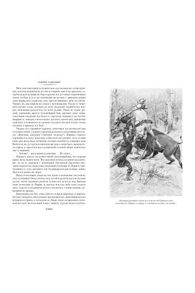 Сенкевич Г.: Крестоносцы