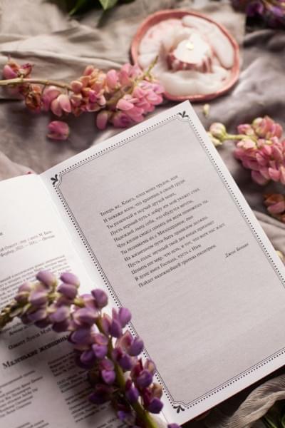 Олкотт Луиза Мэй: Маленькие женщины. Вечные истории