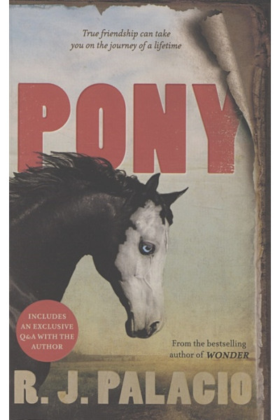 R. J. Palacio: Pony