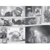 Цукуси Акихито: Made in Abyss. Созданный в бездне. Том 4