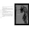 Нисио И.: Death Note. Другая тетрадь. Дело о серийных убийствах B.B. в Лос-Анджелесе