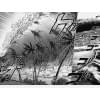 One, Мурата Ю.: One-Punch Man. Книга 2