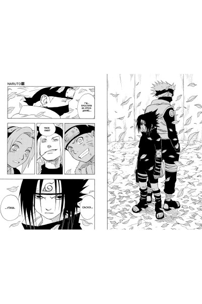 Кисимото М.: Naruto. Наруто. Книга 5. Прерванный экзамен