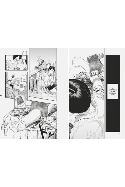 Фудзимото Тацуки: Огненный удар. Книга 1