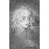 Альфсен Сэм: Рассеивая сумрак