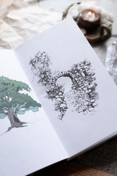 Суржевская Марина: Двериндариум. Живое