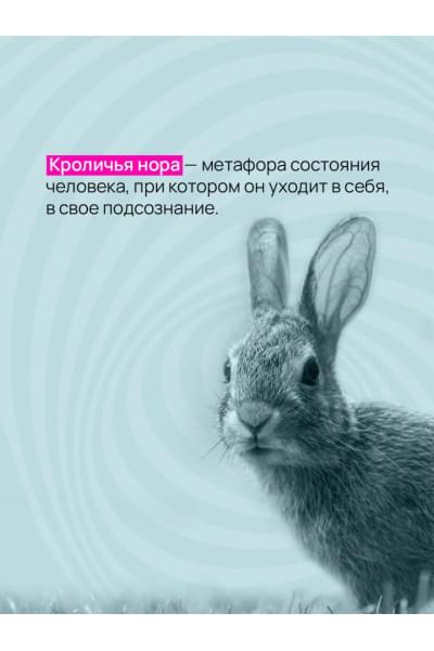 Марк Биллингхэм: Вниз по кроличьей норе