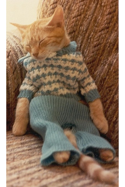 Брэдбери Рэй: Кошкина пижама