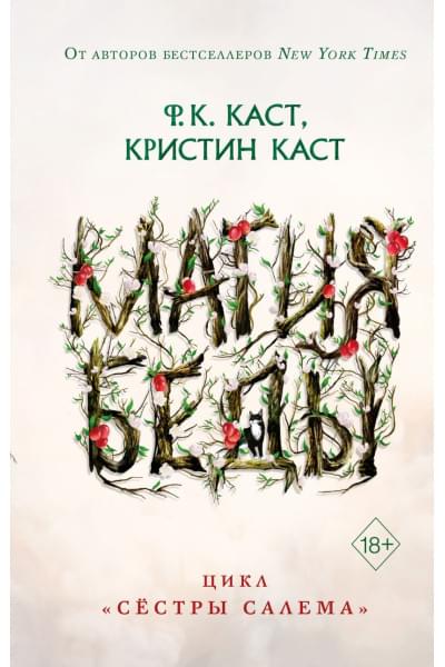 Каст Филис Кристина, Каст Кристин: Магия беды