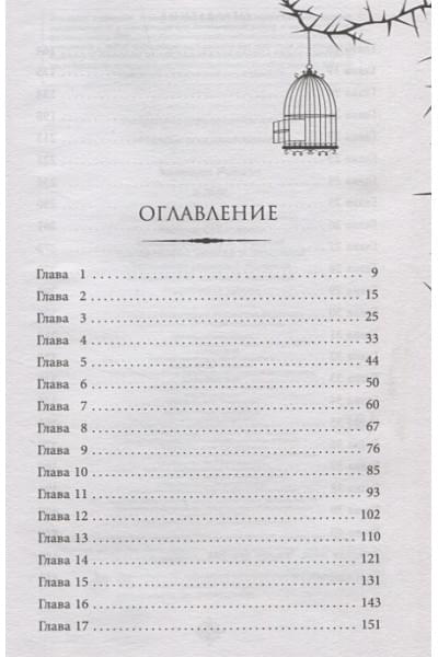 Кеннеди Рейвен: Блик