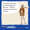 Осман Ричард: Человек, который умер дважды