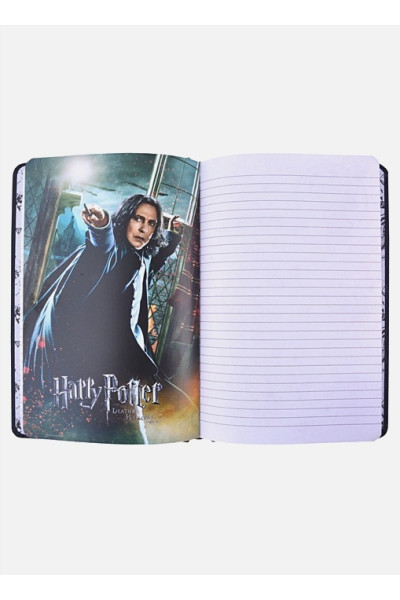 Блокнот «Гарри Поттер. Хогвартс», 96 листов