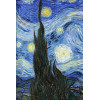 Обложка для паспорта «Ван Гог. Звёздная ночь»