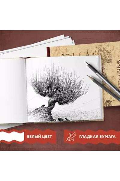 Скетчбук «Гарри Поттер. Карта мародёров», 96 страниц, 24.5 х 20.5 см