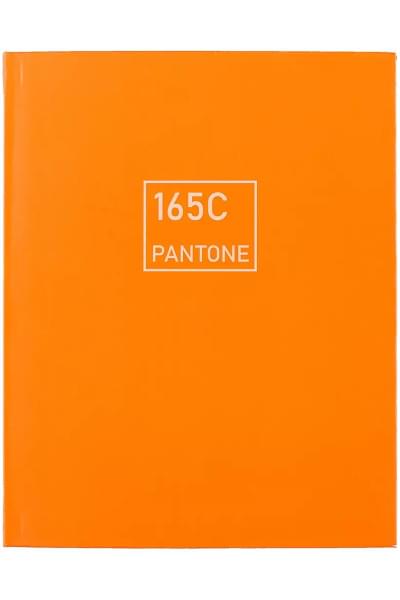 Книга для записей А5+ 96л тчк. 