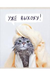 Тетрадь А5 48л лин. "Утро кошечки (Эксклюзив)" скрепка, мелов.картон, поля