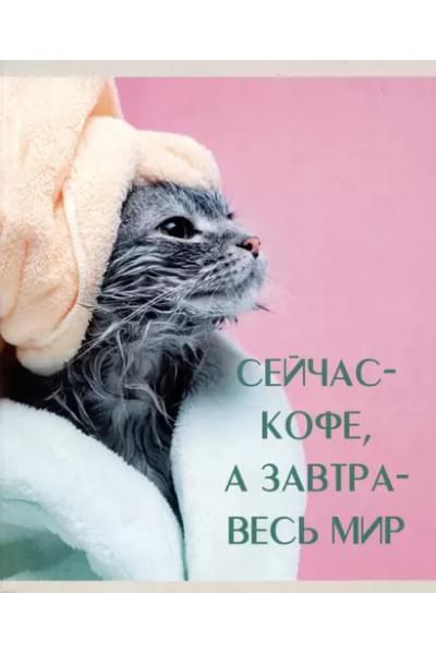 Тетрадь А5 48л лин. 