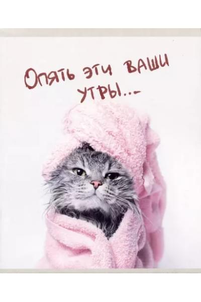 Тетрадь А5 48л лин. 