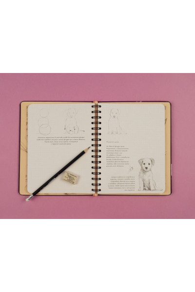 SketchBook. Продвинутые техники, пурпур