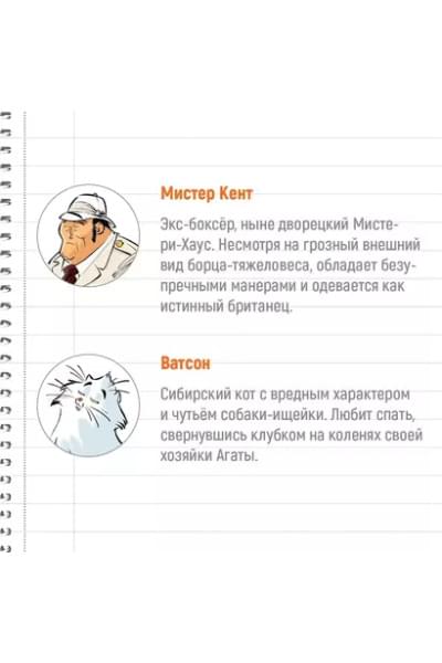 Стивенсон Стив: Агата Мистери. Детективное Рождество