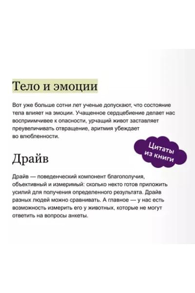 Норд Камилла: Мозг знает, почему тебе плохо. Как перестать стрессовать и получить свои гормоны счастья